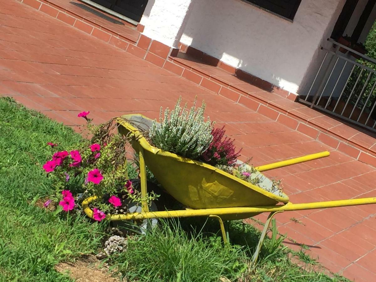 Progetto Vacanze Invorio Inferiore Екстер'єр фото
