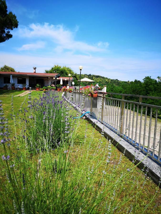 Progetto Vacanze Invorio Inferiore Екстер'єр фото