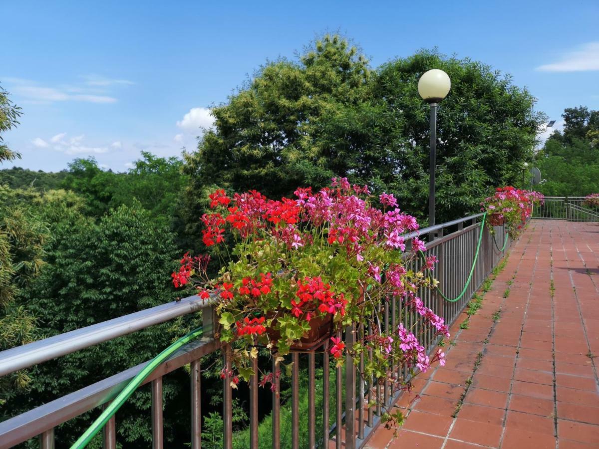 Progetto Vacanze Invorio Inferiore Екстер'єр фото