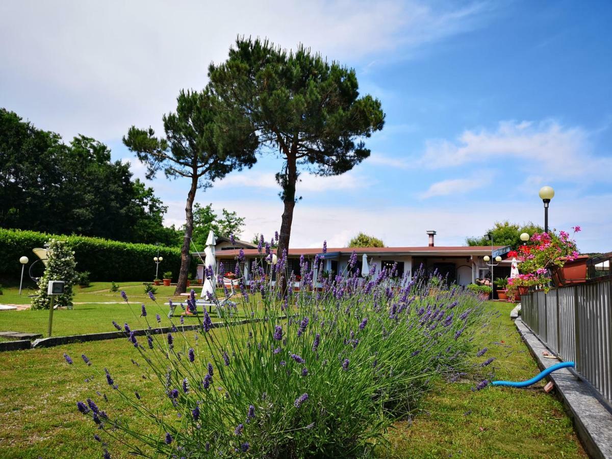 Progetto Vacanze Invorio Inferiore Екстер'єр фото